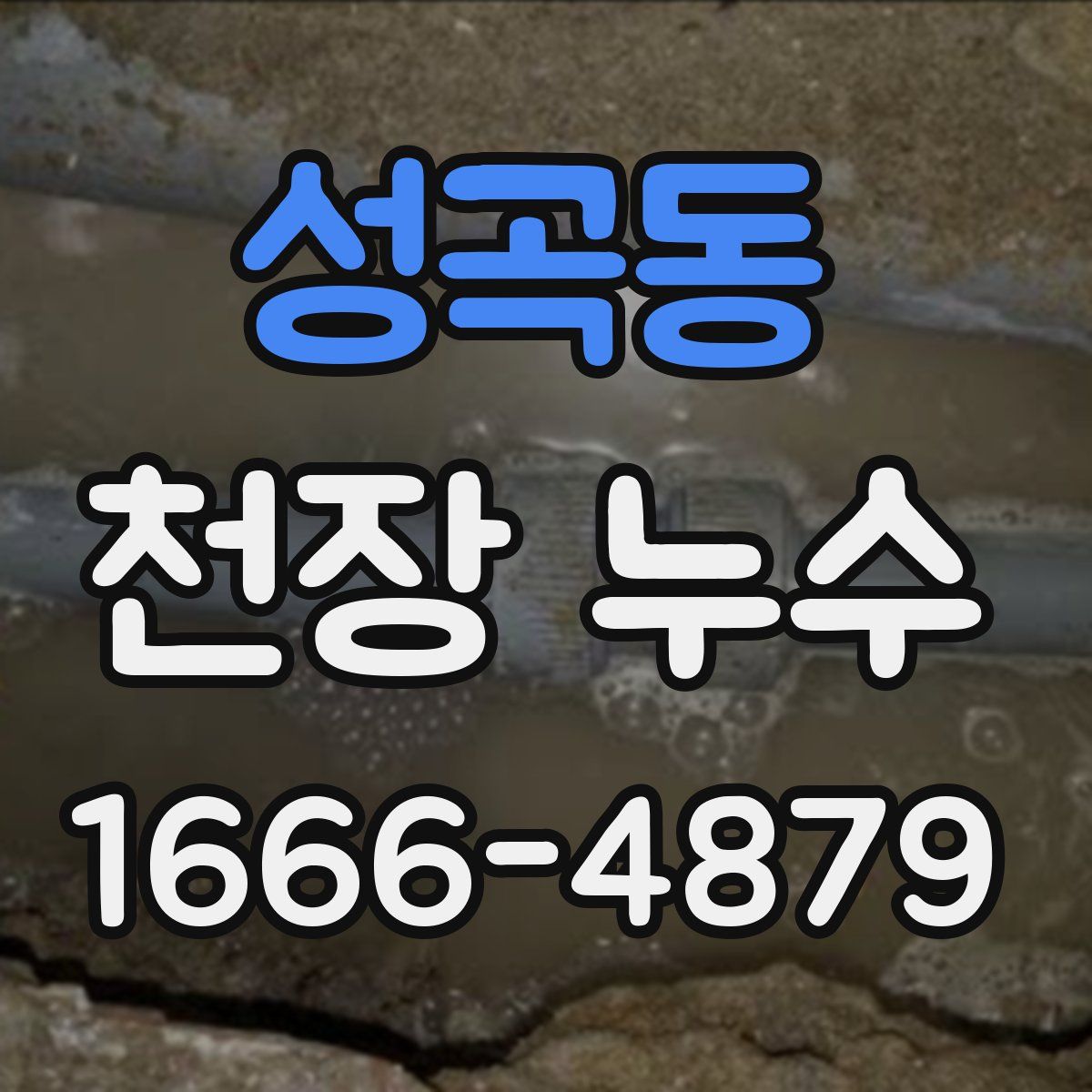 성곡동 천장 누수