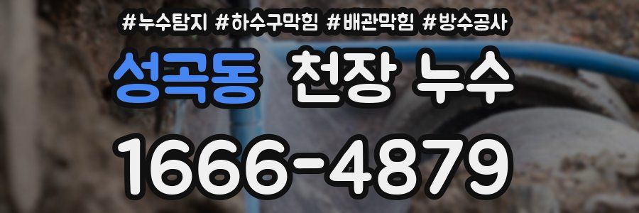 성곡동 천장 누수