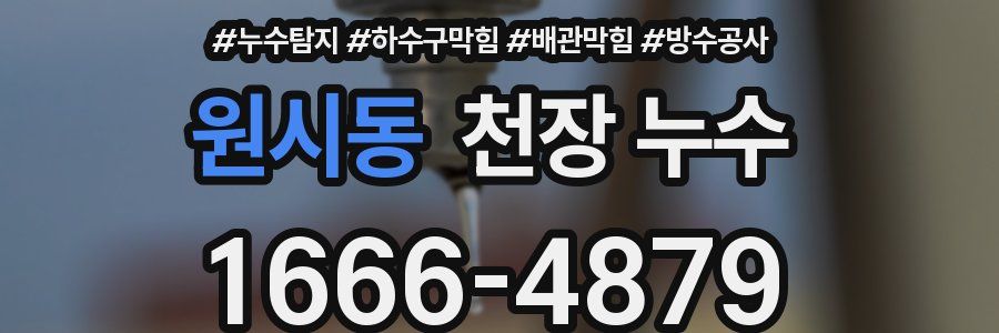 원시동 천장 누수