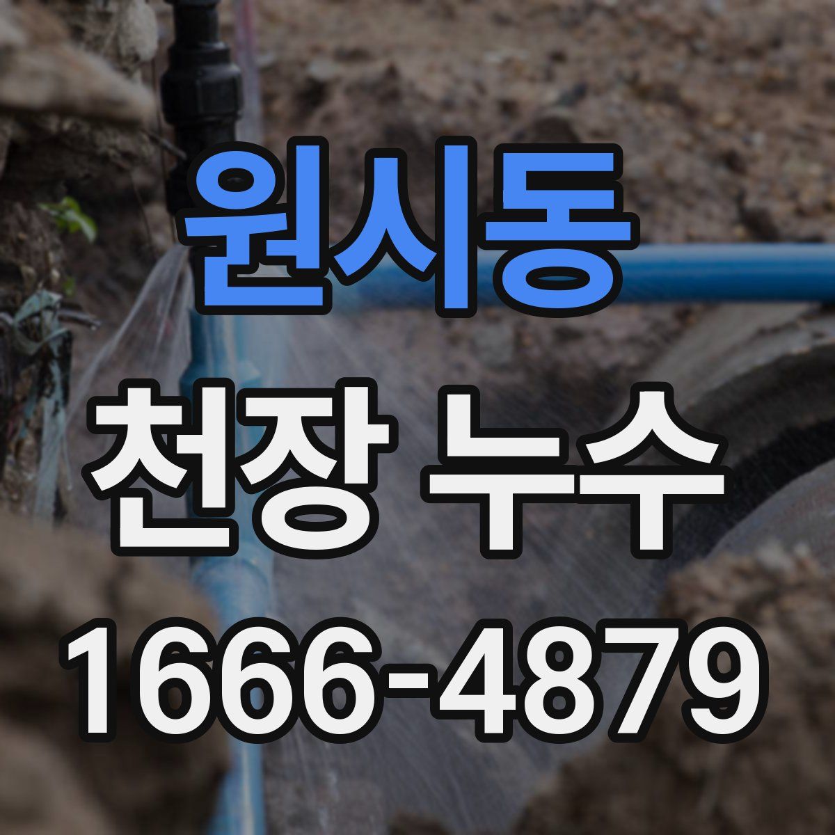 원시동 천장 누수