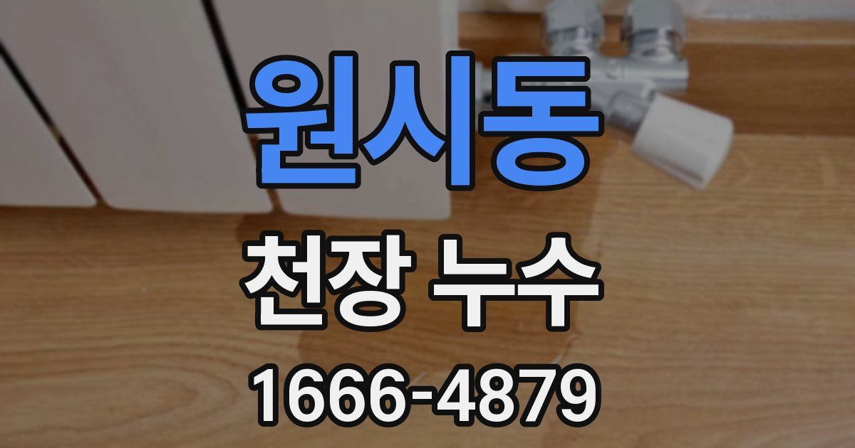 원시동 천장 누수