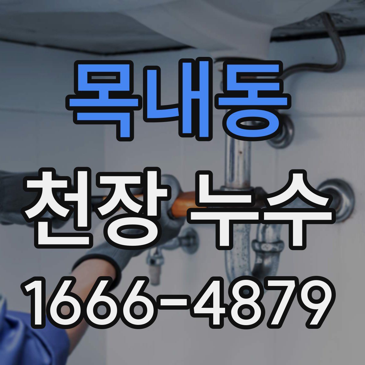 목내동 천장 누수