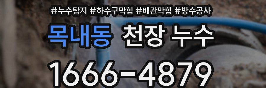 목내동 천장 누수