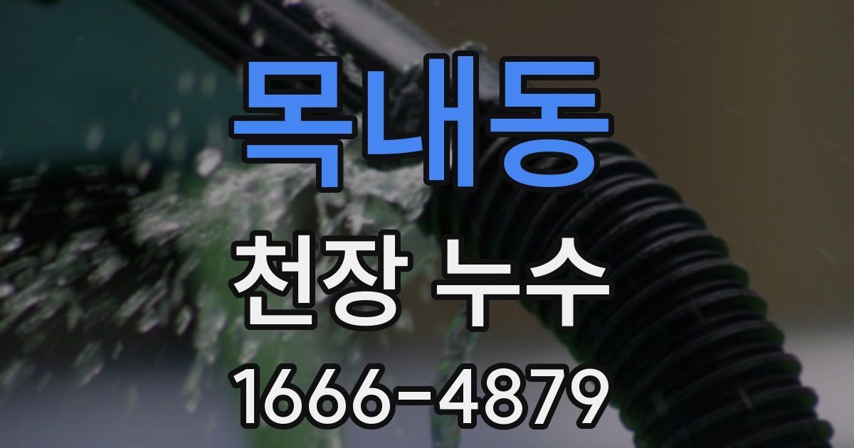 목내동 천장 누수