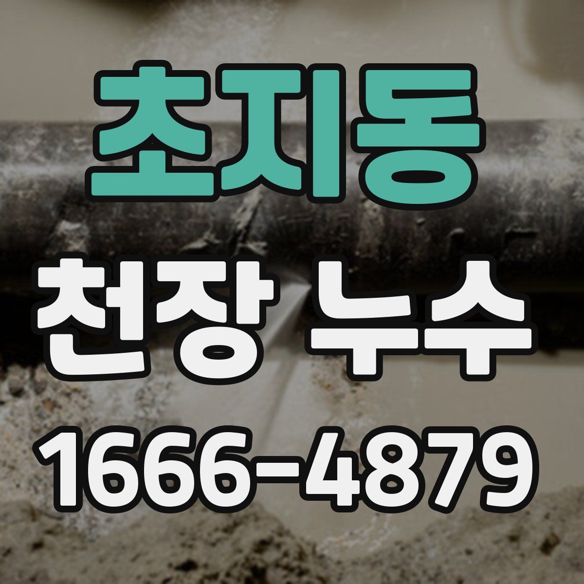 초지동 천장 누수