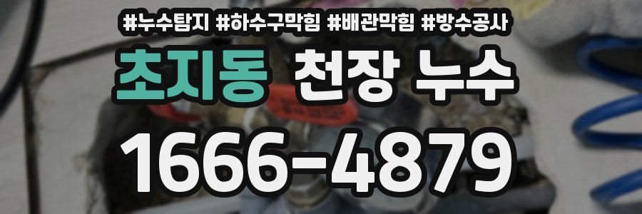 초지동 천장 누수