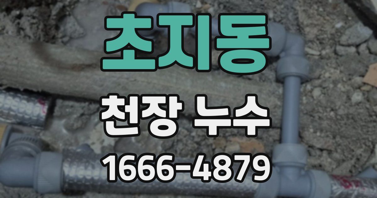 초지동 천장 누수