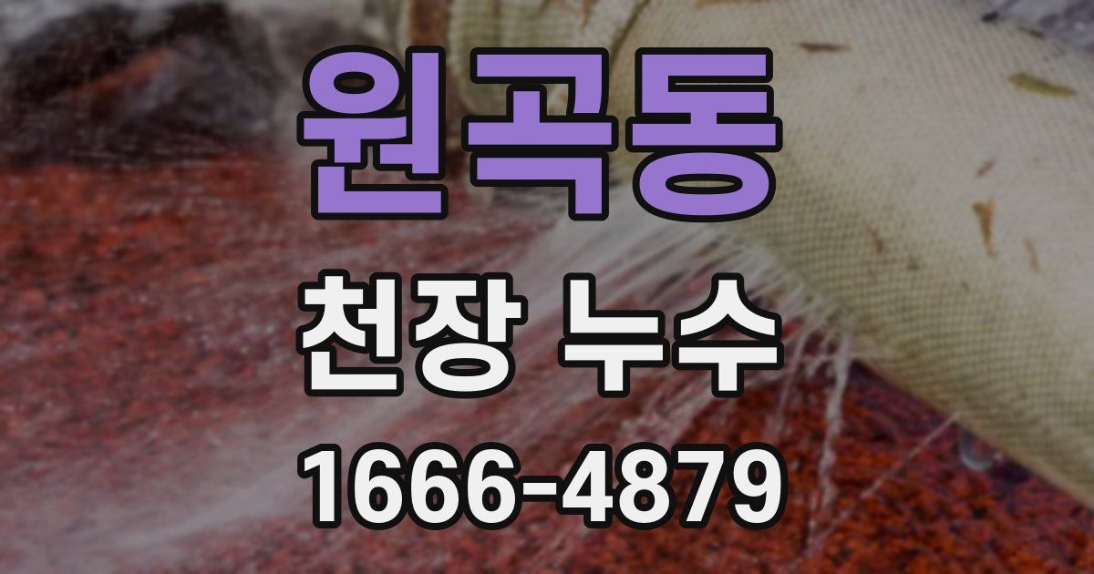 원곡동 천장 누수