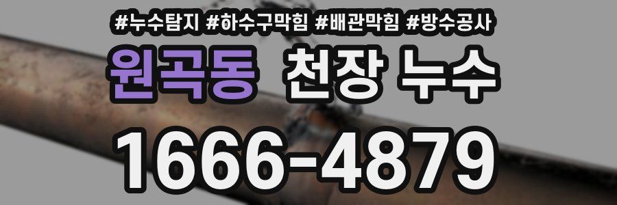 원곡동 천장 누수
