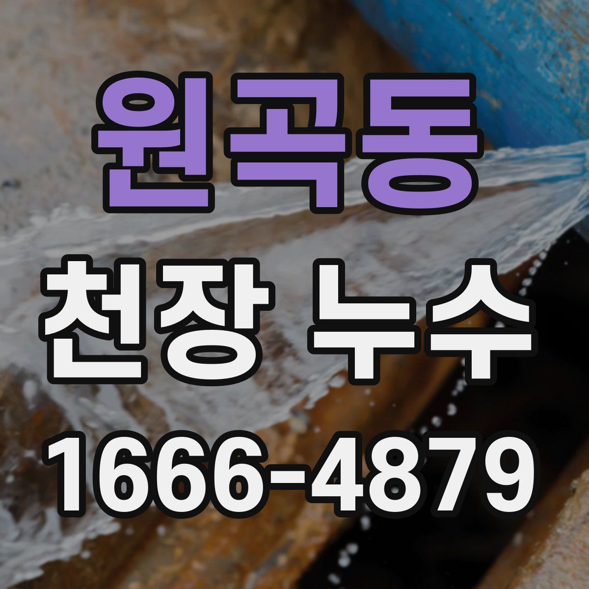 원곡동 천장 누수