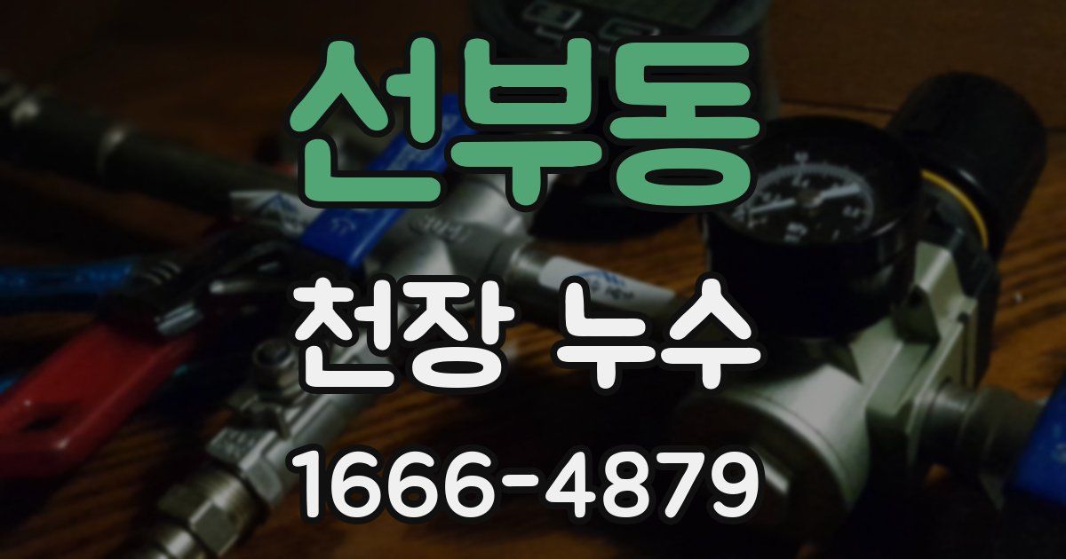 선부동 천장 누수