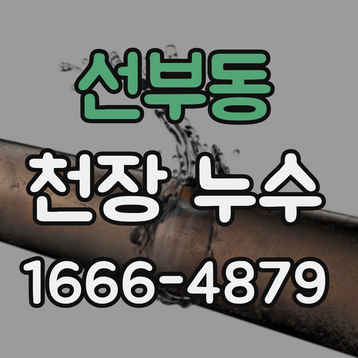 선부동 천장 누수