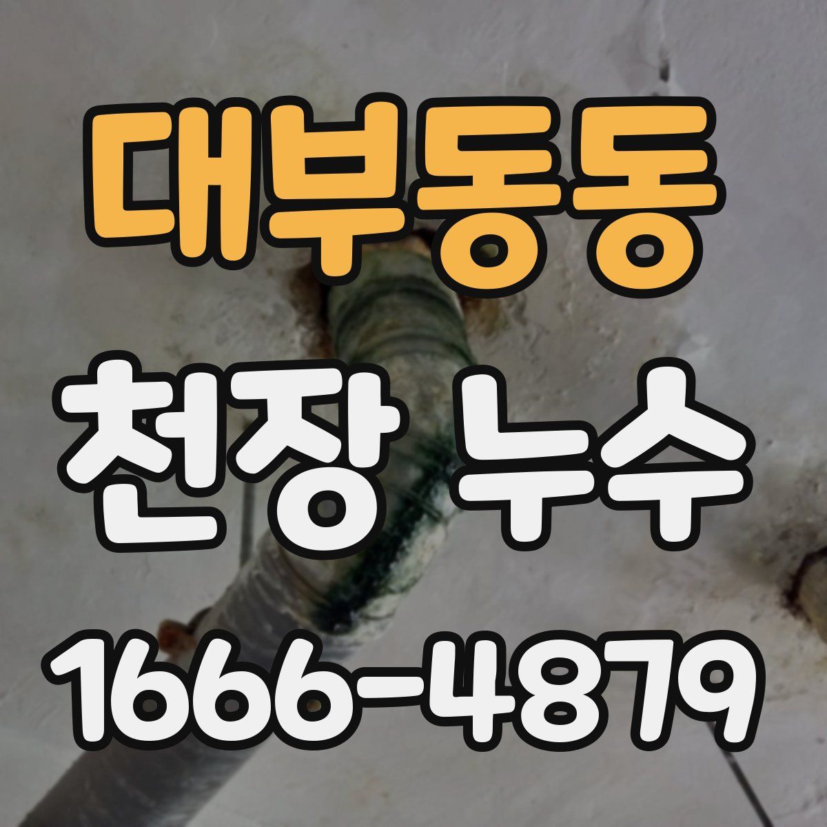 대부동동 천장 누수