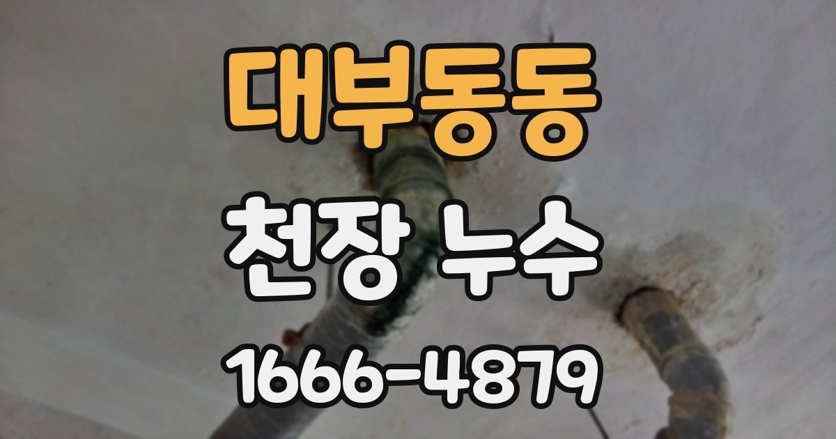 대부동동 천장 누수