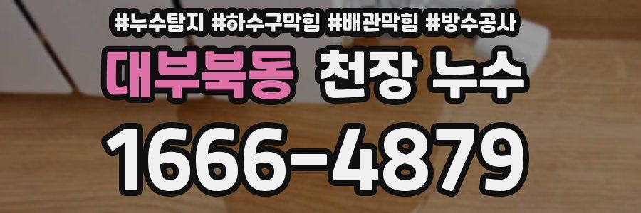 대부북동 천장 누수