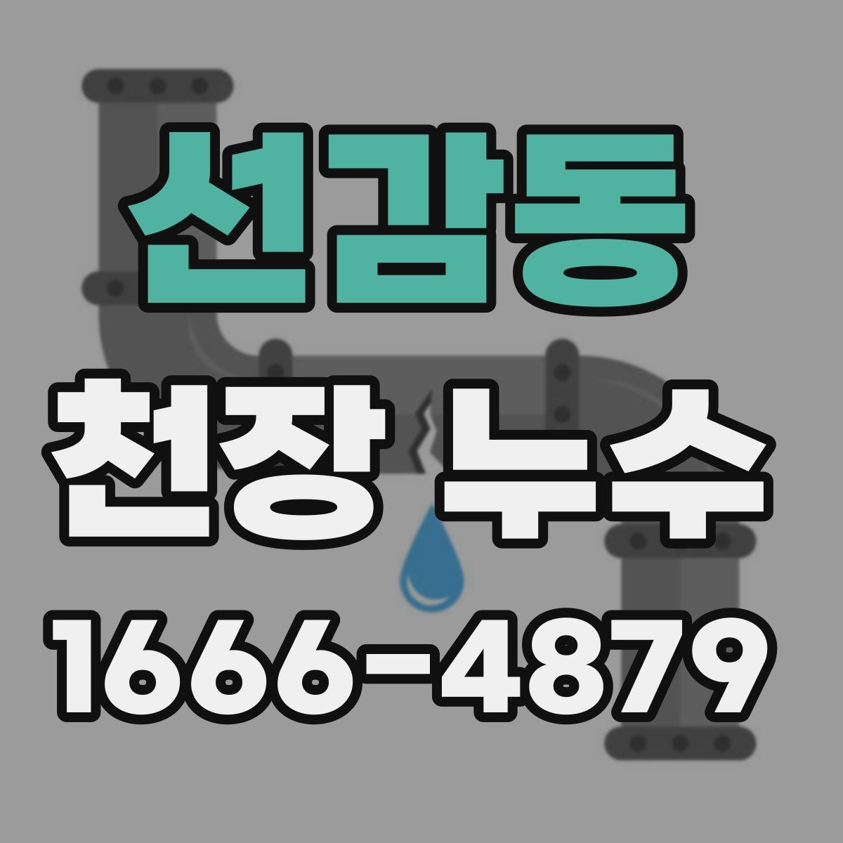 선감동 천장 누수
