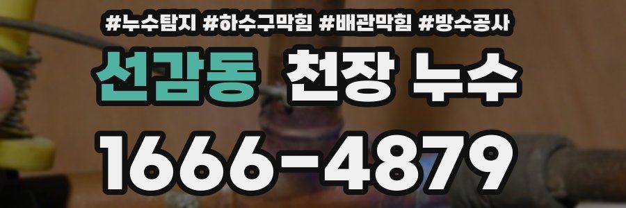 선감동 천장 누수