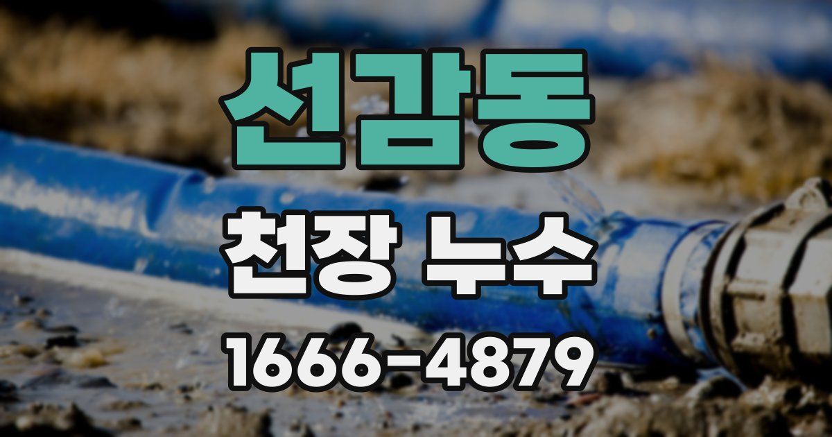 선감동 천장 누수