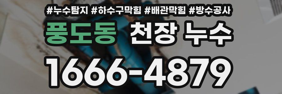 풍도동 천장 누수