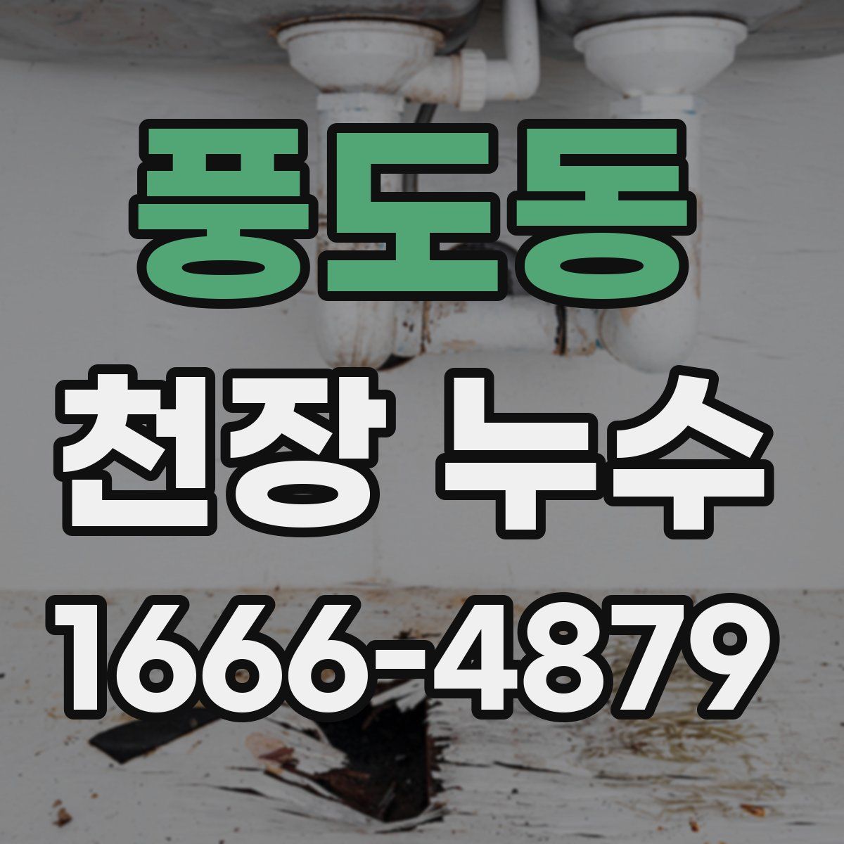 풍도동 천장 누수