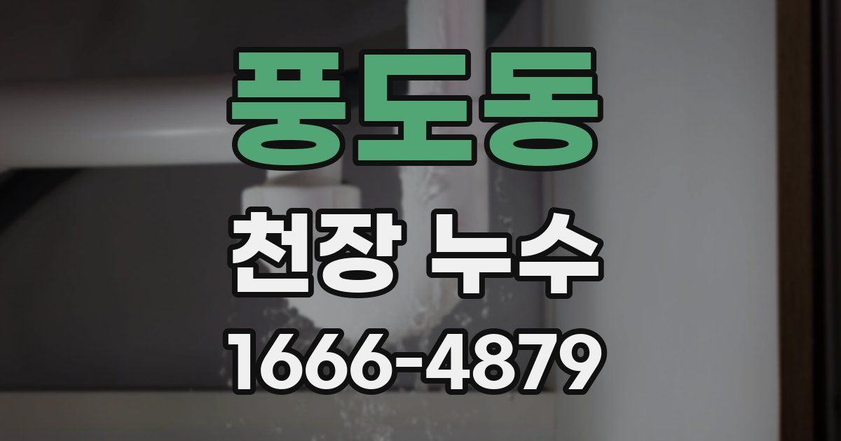 풍도동 천장 누수