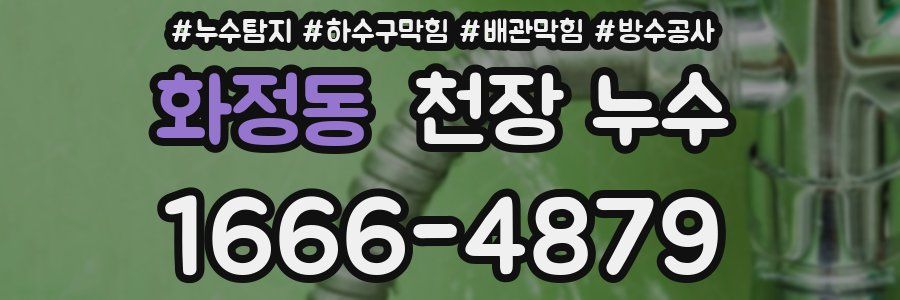 화정동 천장 누수