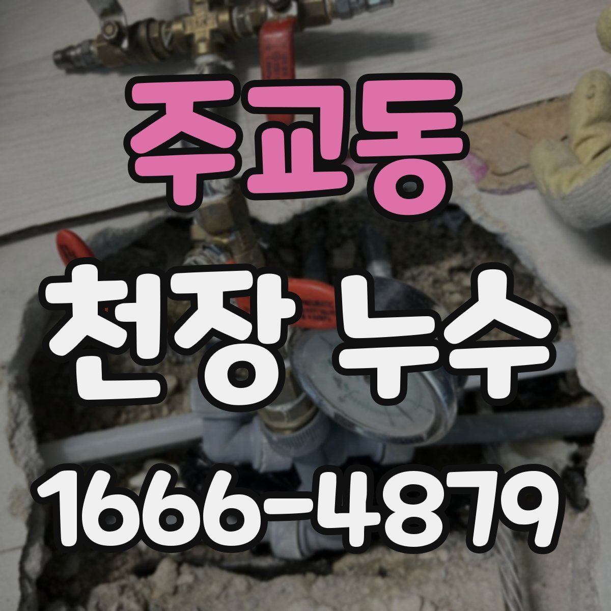주교동 천장 누수