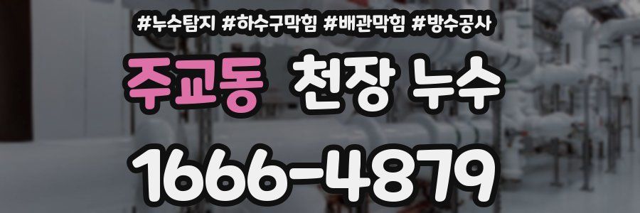 주교동 천장 누수