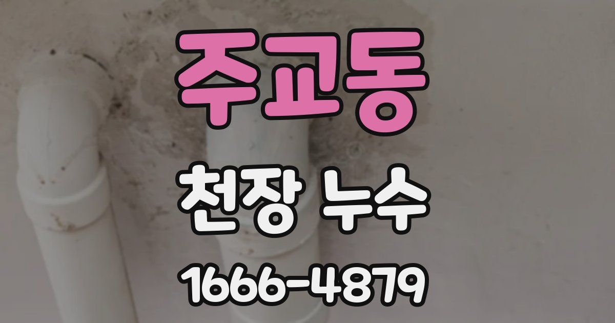 주교동 천장 누수