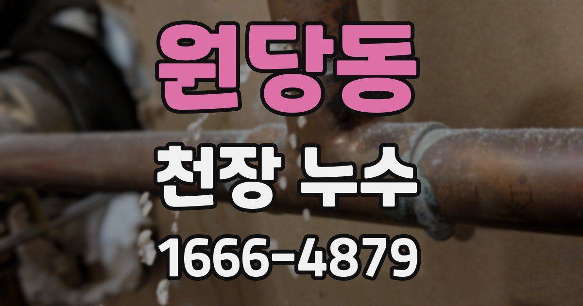 원당동 천장 누수