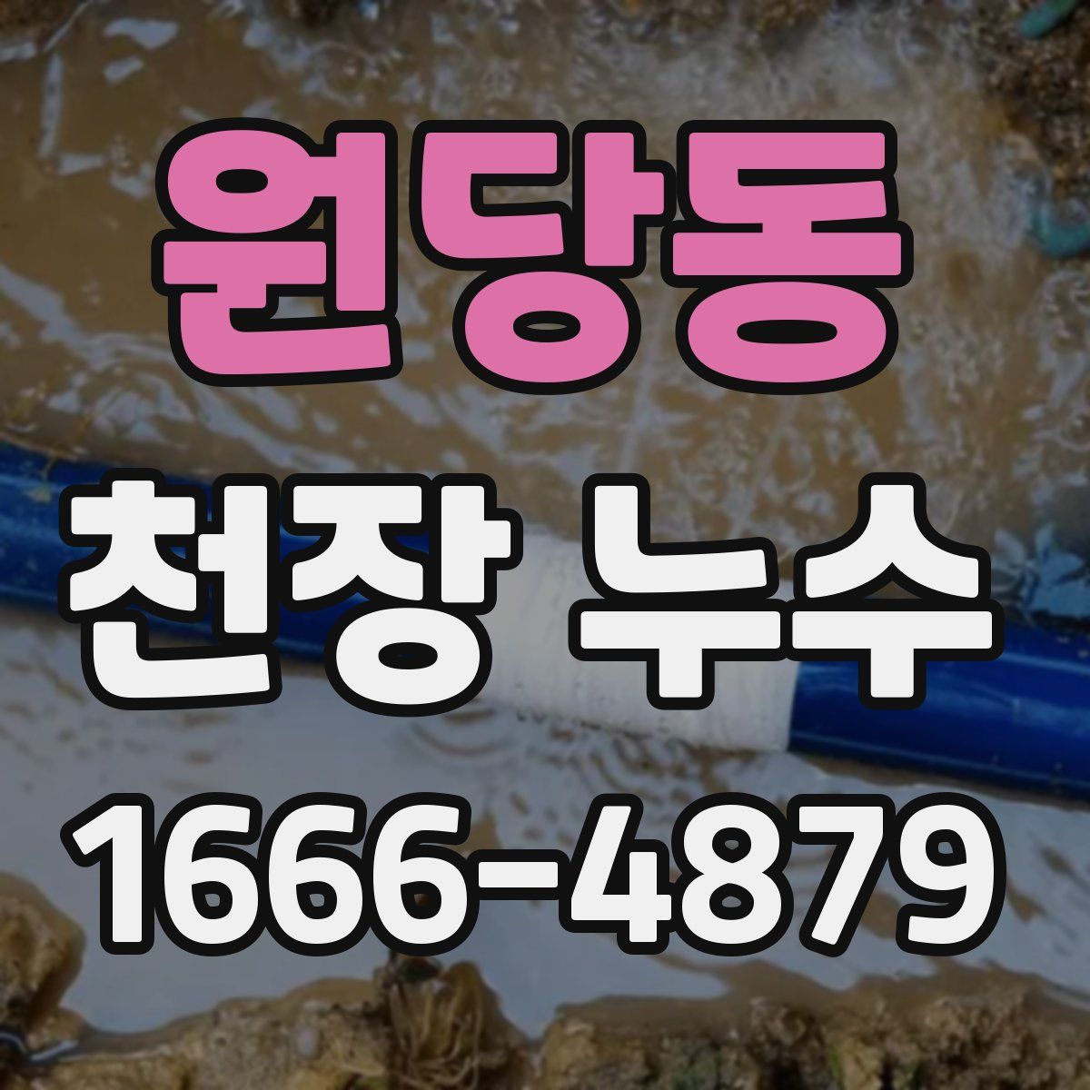 원당동 천장 누수