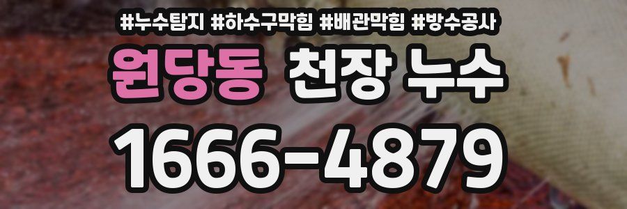 원당동 천장 누수