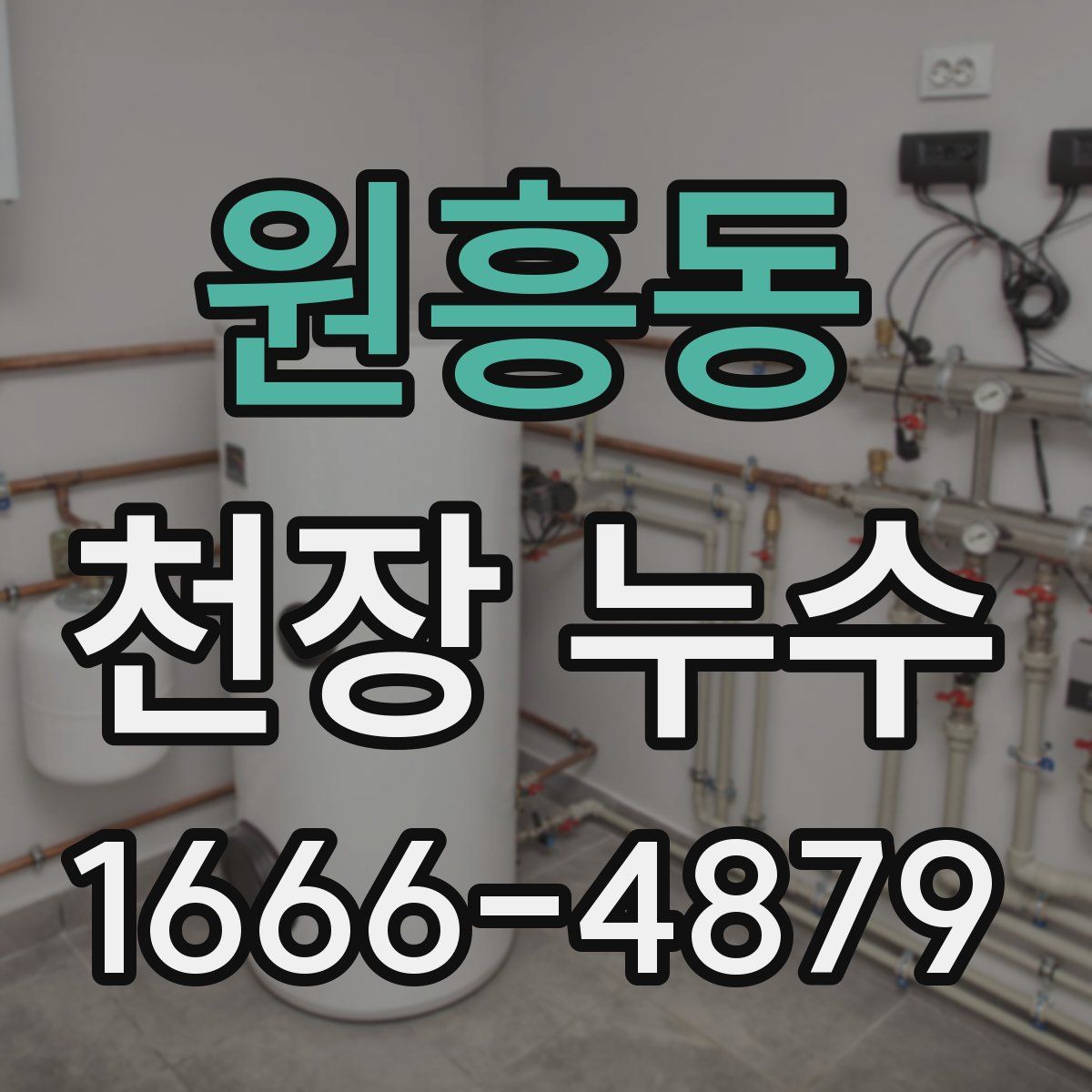 원흥동 천장 누수