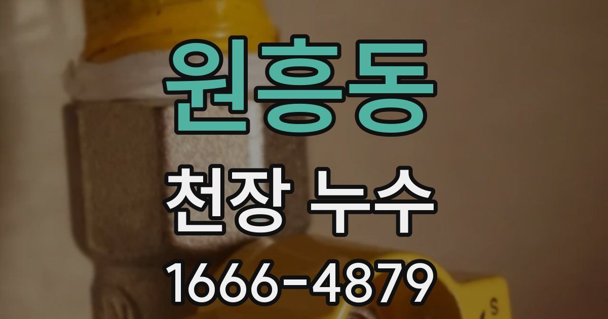 원흥동 천장 누수