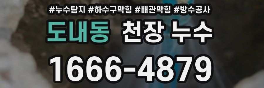 도내동 천장 누수