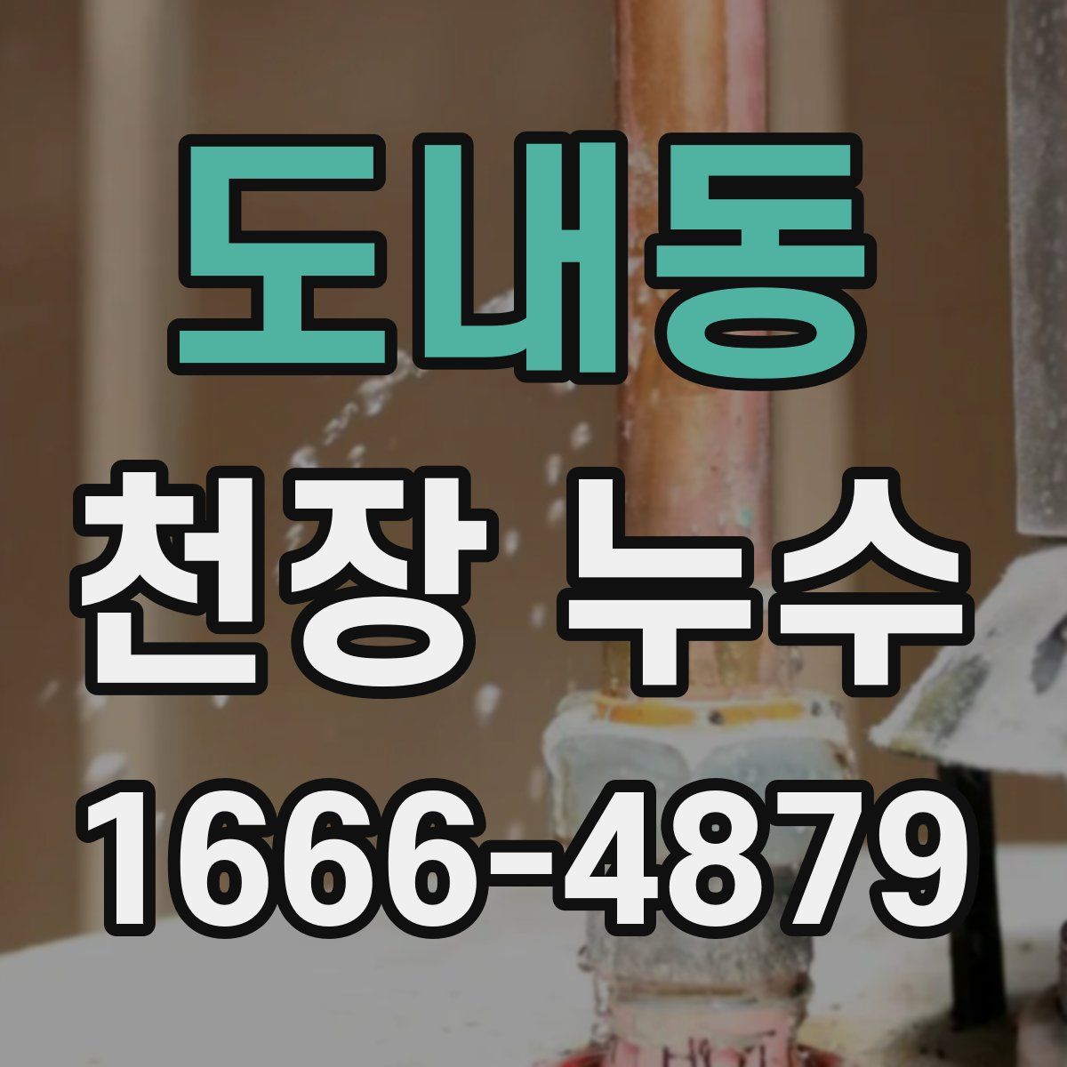 도내동 천장 누수