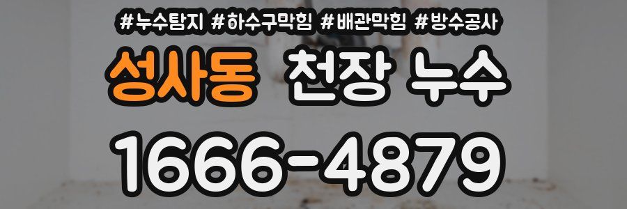 성사동 천장 누수
