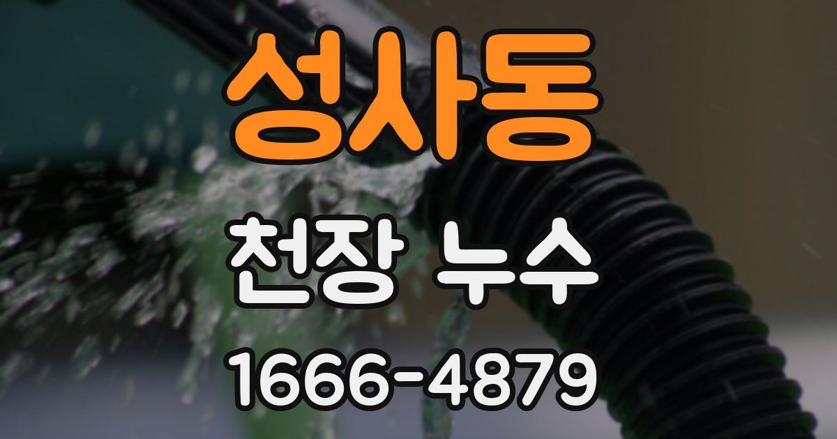 성사동 천장 누수