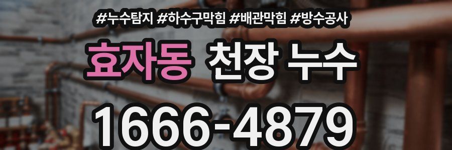 효자동 천장 누수