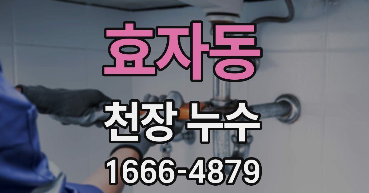 효자동 천장 누수