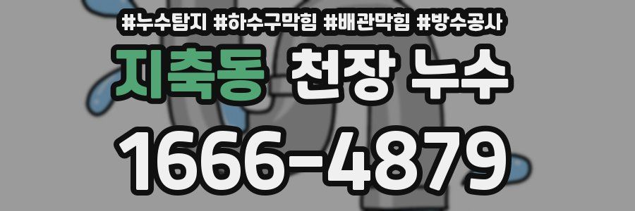 지축동 천장 누수