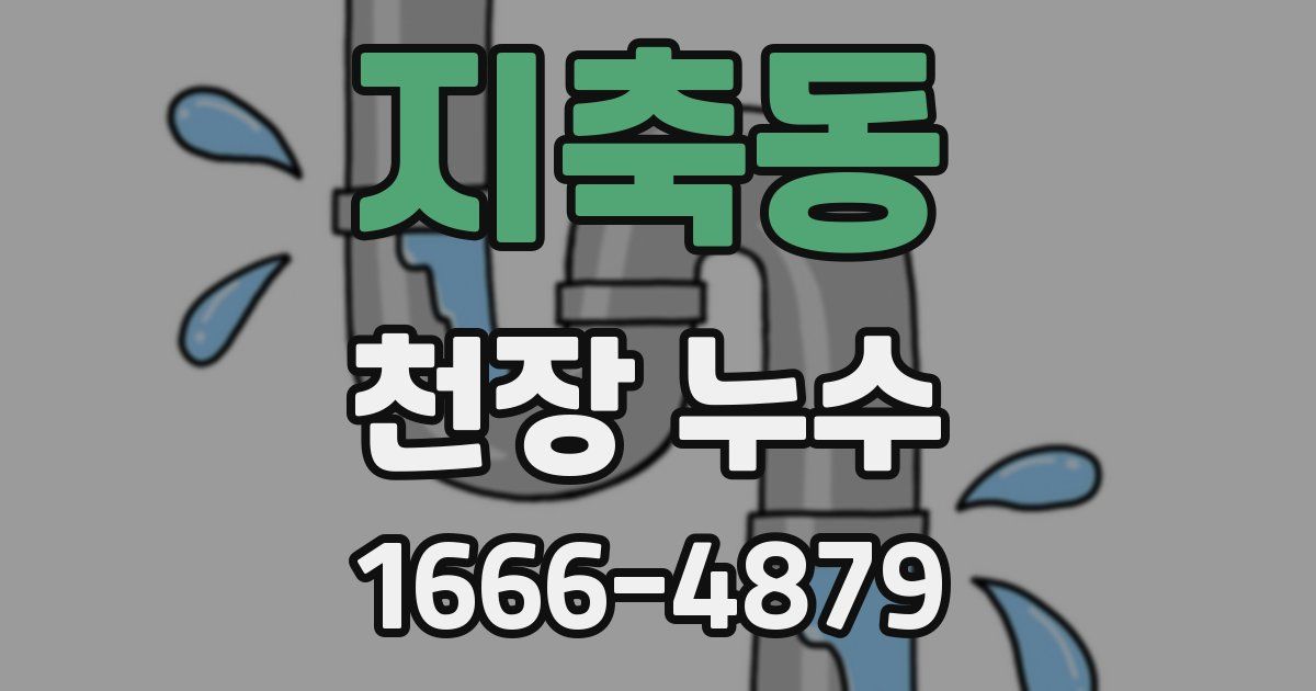 지축동 천장 누수