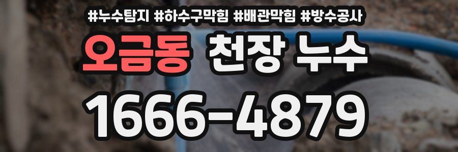 오금동 천장 누수