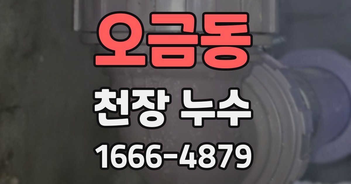 오금동 천장 누수