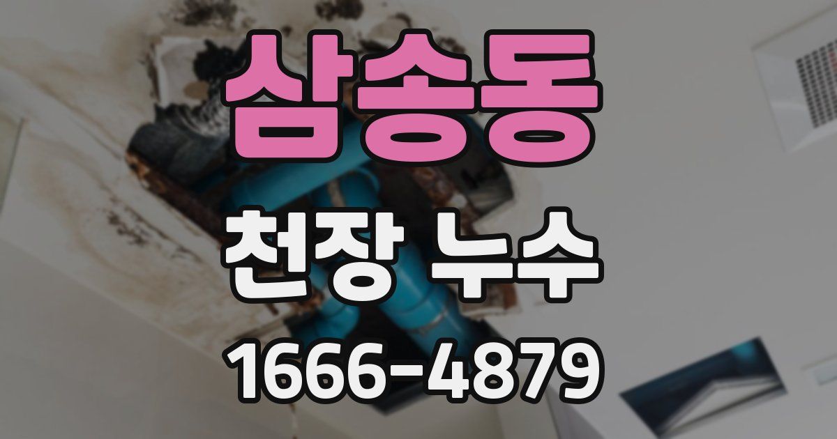 삼송동 천장 누수