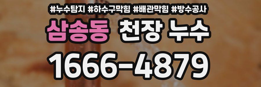 삼송동 천장 누수