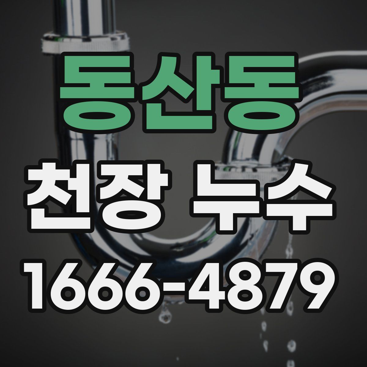 동산동 천장 누수
