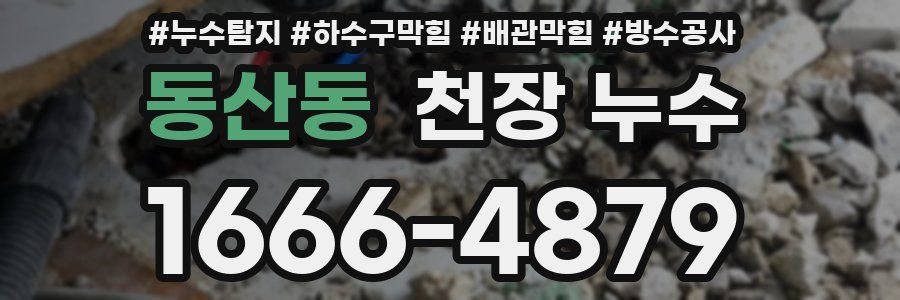 동산동 천장 누수