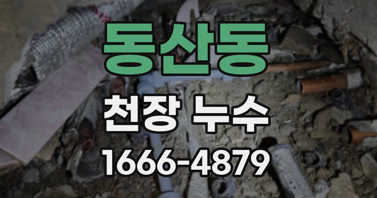 동산동 천장 누수