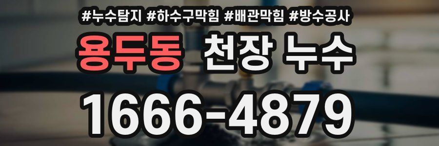 용두동 천장 누수